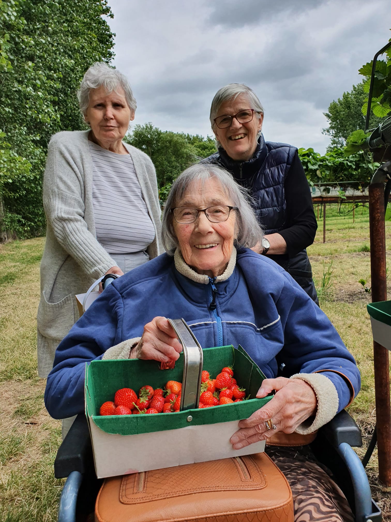 Residents Picking Strawberries